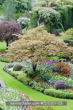 CANADA, BUTCHART GARDEN: Sunken Garden, MAY, Butchart Gardens, Spring, Vancouver Island, BC  Canada