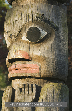 TOTEM POLE, HAIDA: Haida Totem Poles, Thunderbird Park, Royal British Columbia Museum, Victoria, BC, CANADA