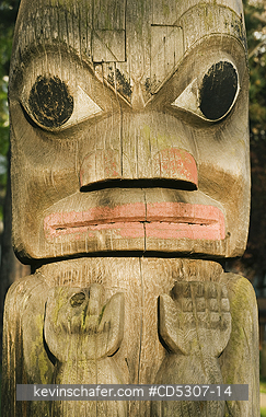 TOTEM POLE, HAIDA: Haida Totem Poles, Thunderbird Park, Royal British Columbia Museum, Victoria, BC, CANADA