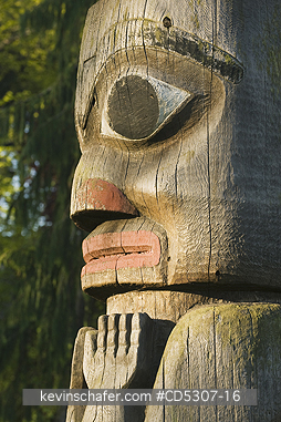 TOTEM POLE, HAIDA: Haida Totem Poles, detail, Thunderbird Park, Royal British Columbia Museum, Victoria, BC, CANADA