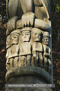 TOTEM POLE, HAIDA: Haida Totem Poles, detail, Thunderbird Park, Royal British Columbia Museum, Victoria, BC, CANADA