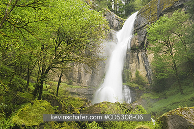 OREGON, WATERFALLS: Golden Falls, Golden and Silver Falls State Park,  Mellicoma River, Coos County, Oregon, MAY