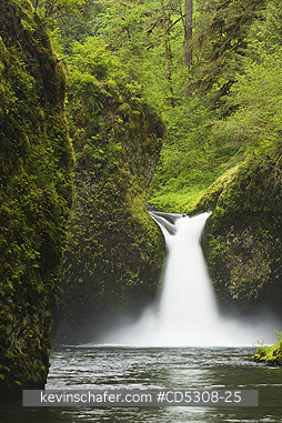 OREGON, WATERFALLS: Punchbowl Falls, Eagle Creek, Mt. Hood National Forest, Columbia River Gorge, Oregon   MAY