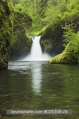 OREGON, WATERFALLS: Punchbowl Falls, Eagle Creek, Mt. Hood National Forest, Columbia River Gorge, Oregon   MAY