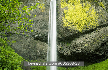 OREGON, WATERFALLS: Latourell Falls, Columbia River Gorge, Oregon