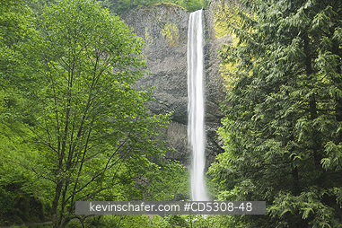 OREGON, WATERFALLS: Latourell Falls (249�ft or 76�m. high) and Columnar Basalt , Columbia River Gorge, Oregon