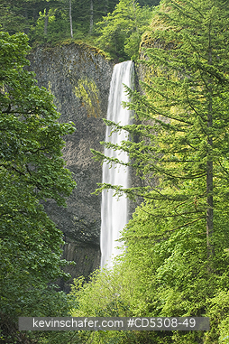 OREGON, WATERFALLS: Latourell Falls (249�ft or 76�m. high) and Columnar Basalt , Columbia River Gorge, Oregon