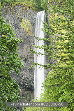 OREGON, WATERFALLS: Latourell Falls (249�ft or 76�m. high) and Columnar Basalt , Columbia River Gorge, Oregon