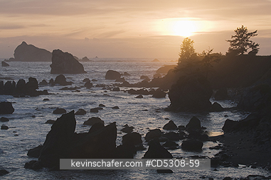 CALIFORNIA, SEASTACK: Seastacks at Sunset, Crescent City, California