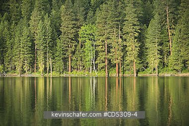 WASHINGTON, LAKES: Forest and lake at dawn, Methow Valley, Washington