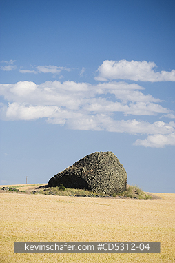 WASHINGTON, EAST SCENIC: Isolated Glacial Erratic in wheat field, left from Pleistocene Glaciers, Columbia Plateau, Eastern Washington