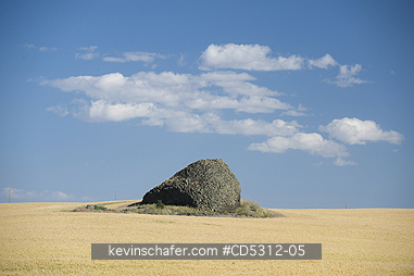 WASHINGTON, EAST SCENIC: Isolated Glacial Erratic in wheat field, left from Pleistocene Glaciers, Columbia Plateau, Eastern Washington
