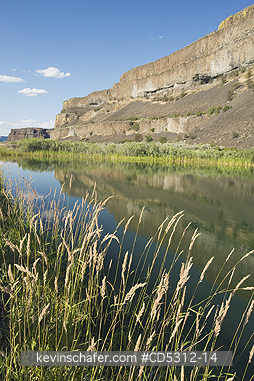 WASHINGTON, BANKS LAKE: Pond alongside Banks Lake, Columbia River Plateau, Washington USA