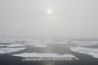 NORWAY: Pack Ice and fog, 81 degrees North, Svalbard, Arctic Norway
