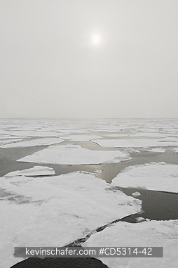 NORWAY: Pack Ice and fog, 81 degrees North, Svalbard, Arctic Norway