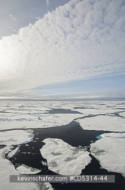NORWAY: Pack Ice, 81 degrees North, Svalbard, Arctic Norway