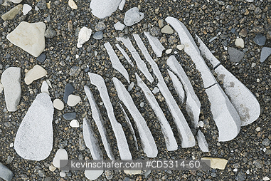 SVALBARD: Frost-shattered sedimentary rock, Svalbard