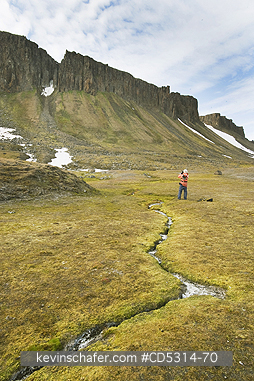 SVALBARD: Photographing tundra, Autumn, Kapp Freeden, Svalbard