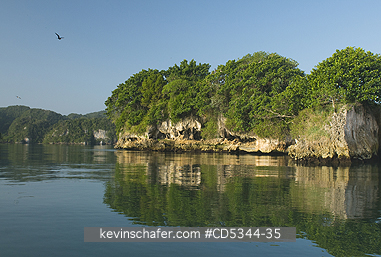 DOMINICAN REPUBLIC: Limestone islands or \\\