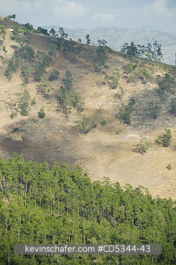 HAITI: Haiti/Dominican border, Hispaniola. Sierra de Bauruco National Park in foreground, Haitain wasteland behind.