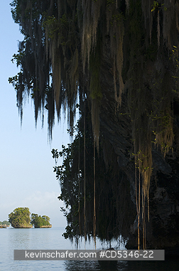 DOMINICAN REPUBLIC: Limestone islands or mogotes, Los Haitises National Park, Dominican Republic