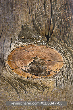 CALIFORNIA, WOOD: Weathered Boards, Historic KCL site, Carrizo Plain National Monument, Southern California