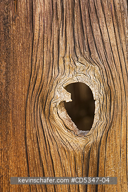 CALIFORNIA, WOOD: Weathered Boards, KCL Historic Site, Carrizo Plain National Monument, Southern California