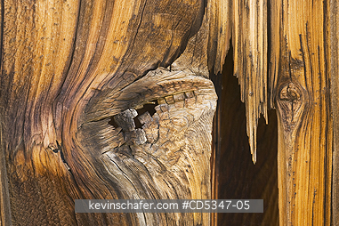 CALIFORNIA, WOOD: Weathered Boards, KCL Historic Site, Carrizo Plain National Monument, Southern California
