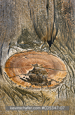 CALIFORNIA, WOOD: Weathered Boards, KCL Historic Site, Carrizo Plain National Monument, Southern California