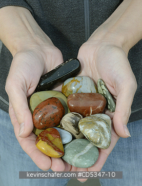 ROCKS, POLISHED: Pebbles found on Puget Sound beaches : Jasper, Agate, Petrified Wood