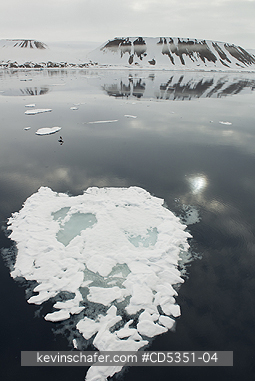 NORWAY, SVALBARD: Ice flows and foggy landscape, Vaigattbogen, Svalbard, Arctic Norway