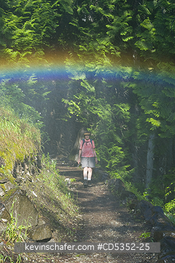 WASHINGTON:  Mist and Rainbow below Rainbow Falls, Stehekin, Lake Chelan National Recreation area, Washington, USA