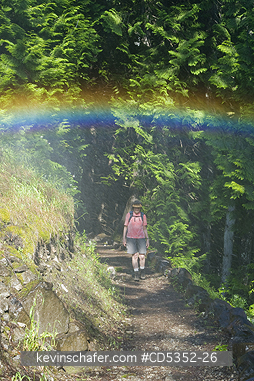 WASHINGTON: Mist and Rainbow below Rainbow Falls, Stehekin, Lake Chelan National Recreation area, Washington, USA