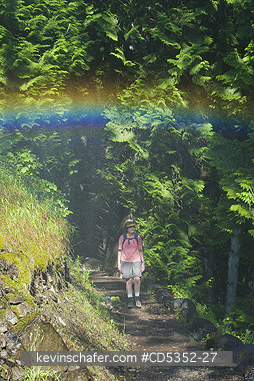 WASHINGTON: Mist and Rainbow below Rainbow Falls, Stehekin, Lake Chelan National Recreation area, Washington, USA