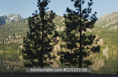 TREES, WASHINGTON: Pine trees silhouetted on Lake Chelan, Stehekin, Washington