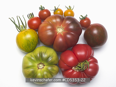 TOMATO: Heirloom Tomatoes inc. Brandywine, Black Krim, Green Zebra