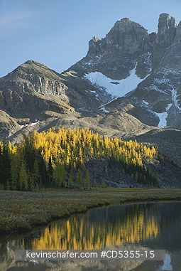 CANADA, BRITISH COLUMBIA: Autumn larches, Gog Lake, below The Towers, Mt. Assiniboine Provincial Park, British Columbia, Canada SEPTEMBER