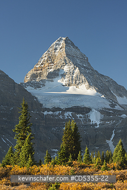 CANADA, BRITISH COLUMBIA: Mt. Assiniboine above autumn tundra, Mt. Assiniboine Provincial Park, British Columbia, Canada SEPTEMBER