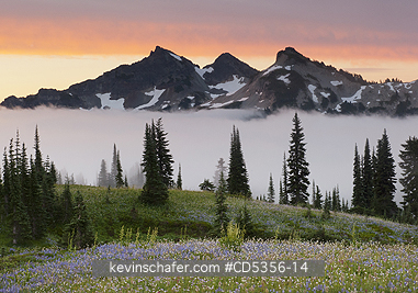WASHINGTON STATE: Summer sunrise, Tatoosh Range, Paradise area, Mt. Rainier National Park, Washington