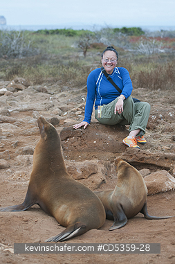 GALAPAGOS SEA LION: Tracey Lee and Galapagos Sea Lions, North Seymour island, Galapagos