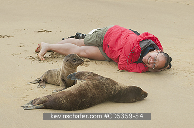 GALAPAGOS SEA LION: Tracey Lee and Galapagos Sea Lions, Isabela island, Galapagos