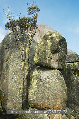 AUSTRALIA, SCENIC: Granite boulders and forest, Porongorup National Park, Western Australia