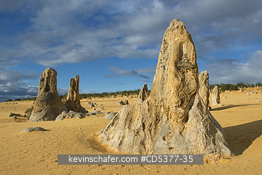 AUSTRALIA, SCENIC: Pinnacles, Nambung National Park, Western Australia