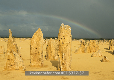 AUSTRALIA, SCENIC: Pinnacles, Nambung National Park, Western Australia. RAINBOW AT DAWN