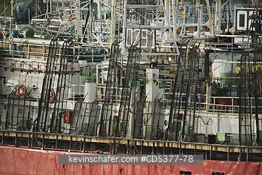 ARGENTINA: Squid fleet in harbor, Puerto Deseado, Santa Cruz Province, Argentina