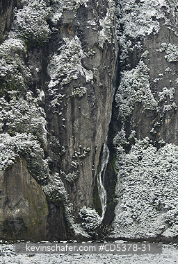 CHILE, SCENIC: Spring snowfall on sheer walls, Garibaldi Fjord, Beagle Channel, Tierra del Fuego  CHILE