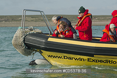 DOLPHIN: Tourists and bow-riding Commerson\'s Dolphin (Cephalorhynchus commersonii), Puerto Deseado, Santa Cruz Province, Argentina