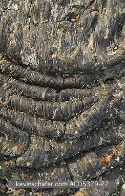 IDAHO, SCENIC: Lava flow patterns, Craters of the Moon National Monument, Idaho