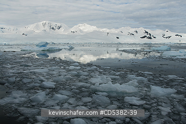 ANTARCTICA, SCENIC: Brash ice and mountains, Neko Harbor, Antarctic Peninsula, Antarctica