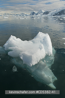 ANTARCTICA, SCENIC: Floating ice, revealing much below the surface, Neko Harbor, Antarctic Peninsula, Antarctica